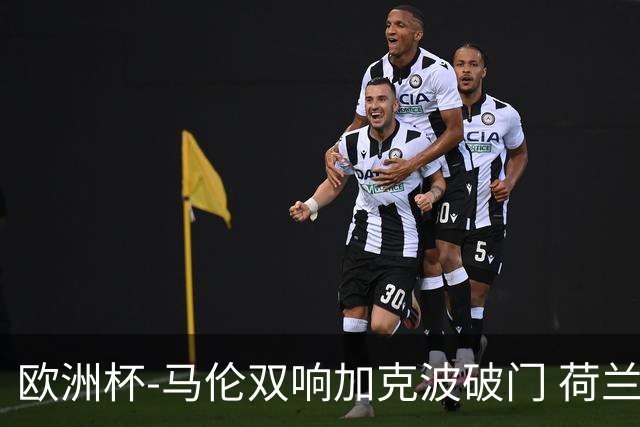 欧洲杯-马伦双响加克波破门 荷兰3-0罗马尼亚