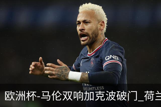 欧洲杯-马伦双响加克波破门 荷兰3-0罗马尼亚